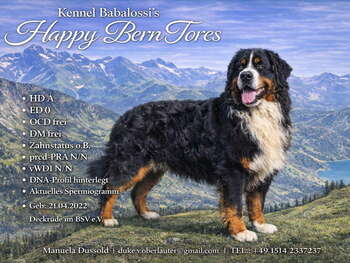 Happy Bern Tores