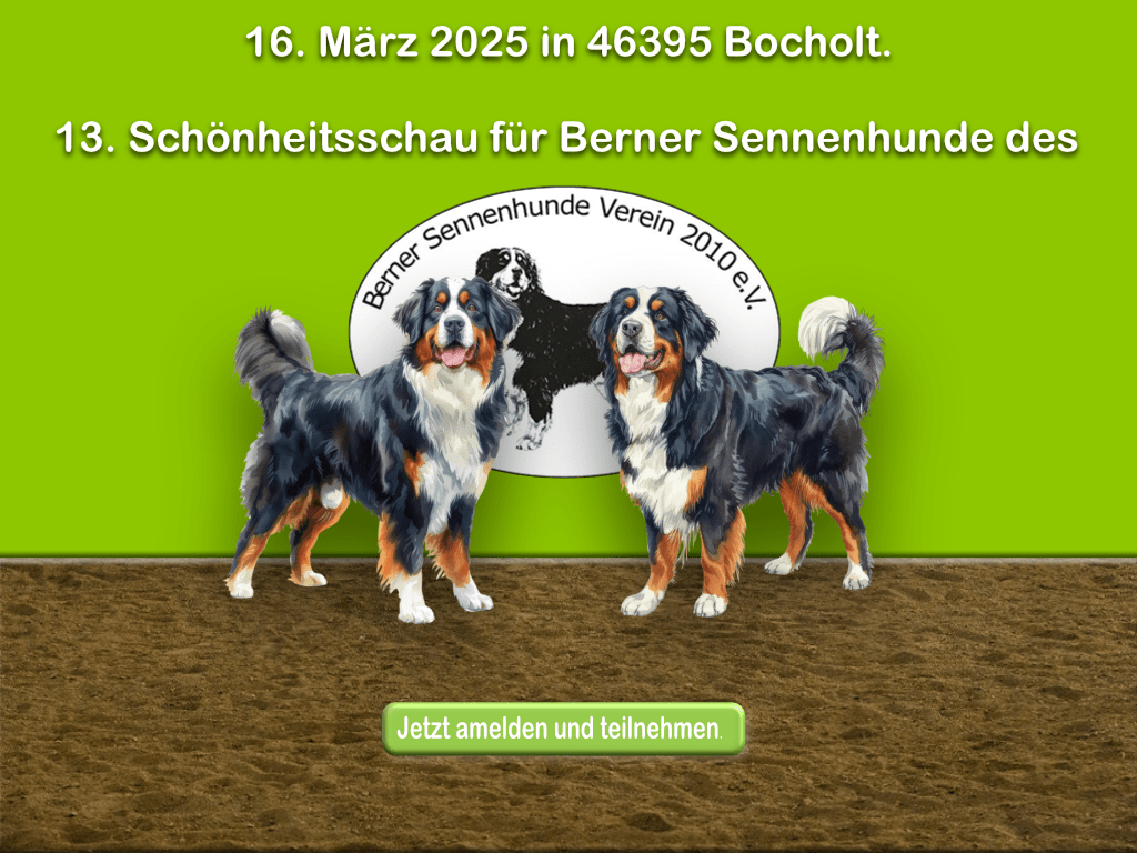 13. Schönheitsschau für Berner Sennenhunde des BSv 2010 e.V. 